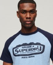 Superdry Organic Cotton Raglan T-Shirt