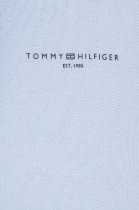 Tommy Hilfiger 1985 Collection Logo Hoody