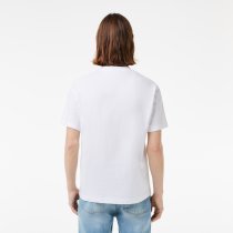 LACOSTE MEN'S CLASSIC FIT COTTON JERSEY T-SHIRT