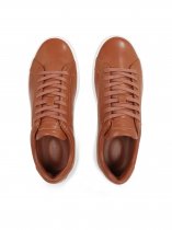 Tommy Hilfiger Court Best Cognac Shoes, GVI